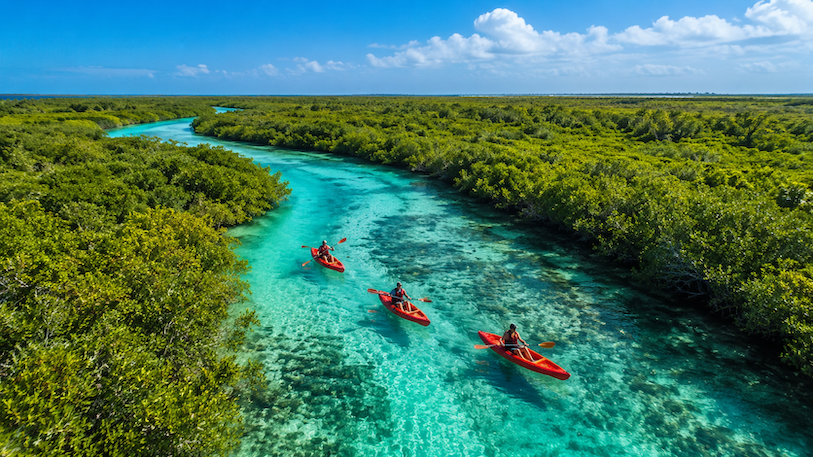 Nassau Kayaking Through the Mangroves: The Shore Day Nobody Is Selling You