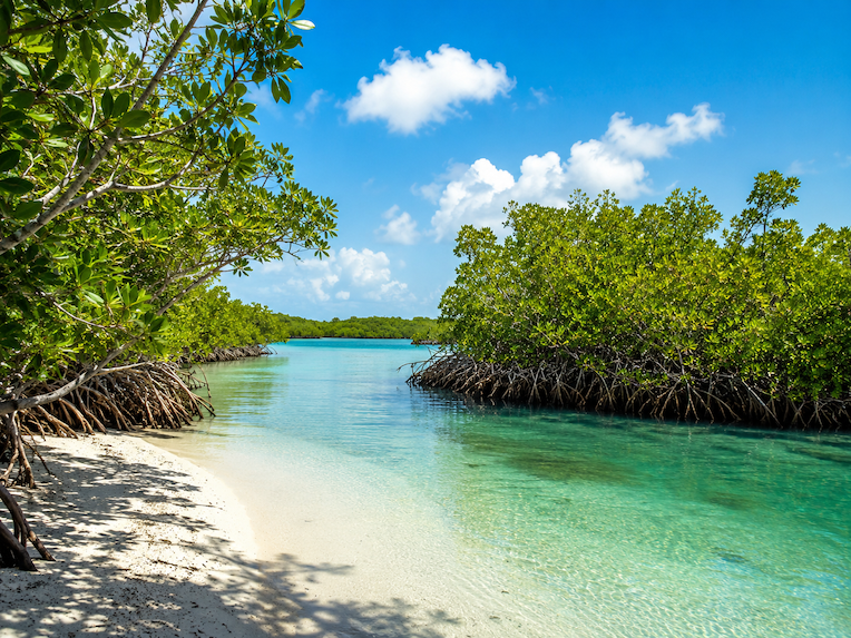 A Day at Lucayan National Park: Grand Bahama's Natural Treasure